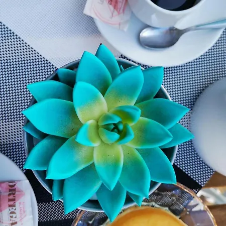 Διαμέρισμα Puesta De Sol 3cr