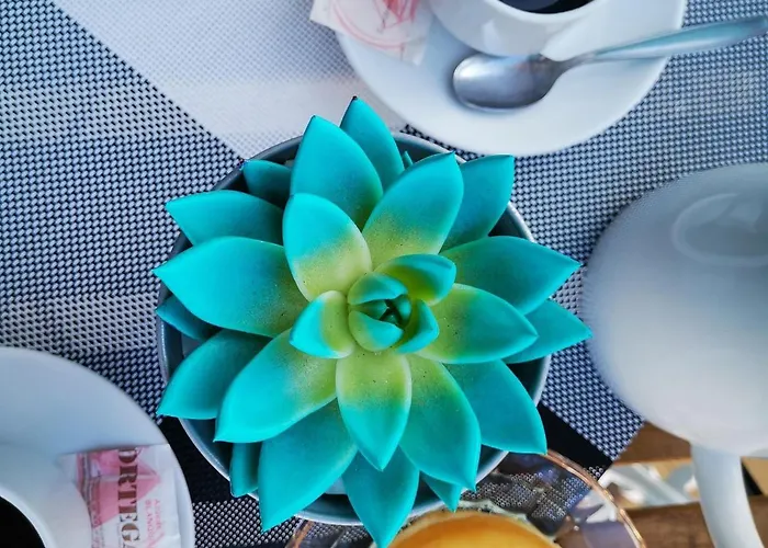 Apartman Puesta De Sol 3cr